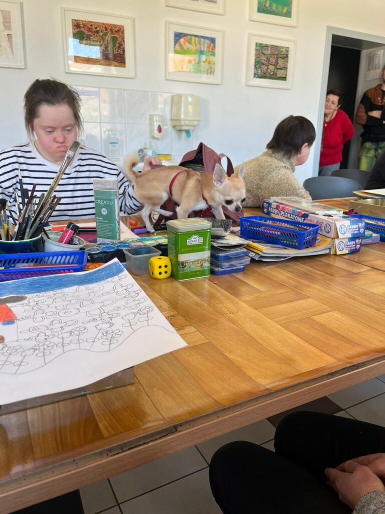 About Us dogoterapia Śds leszno (2)