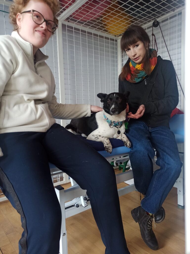 About Us dogoterapia Śds leszno