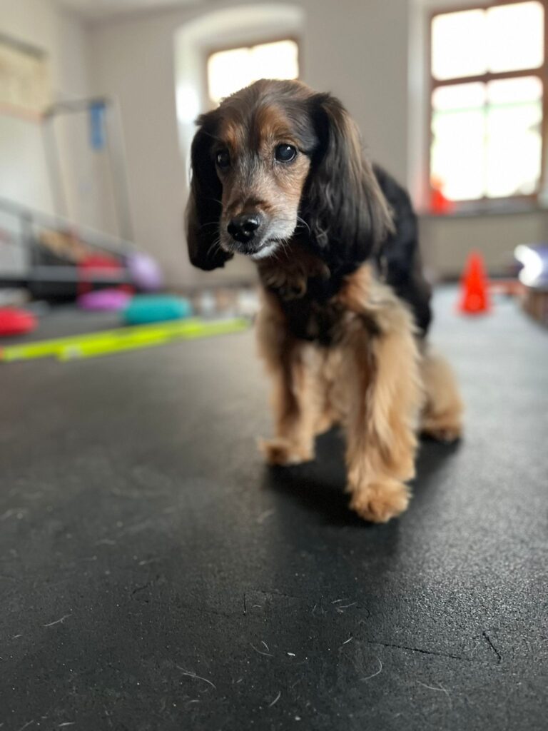 lusi